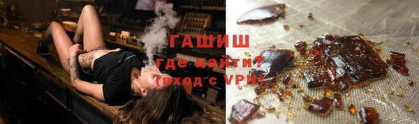 индика Кулебаки