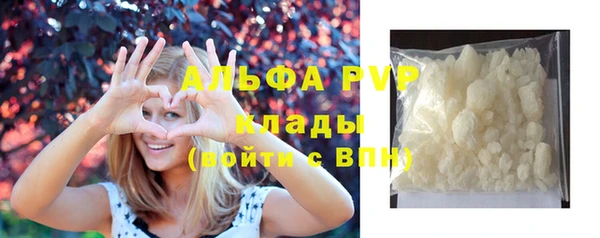 индика Кулебаки