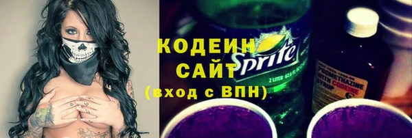 индика Кулебаки