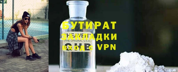 индика Кулебаки