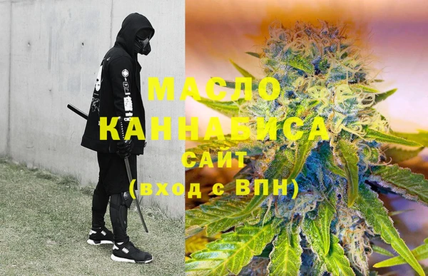 индика Кулебаки