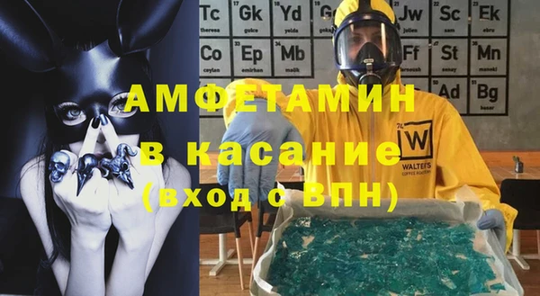 индика Кулебаки