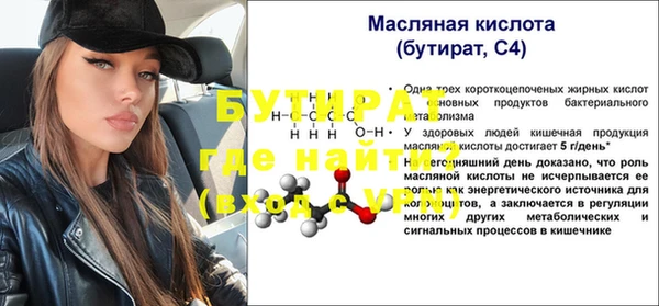 индика Кулебаки