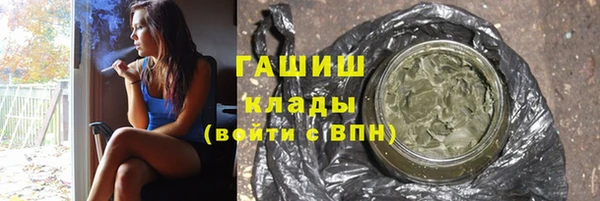 индика Кулебаки