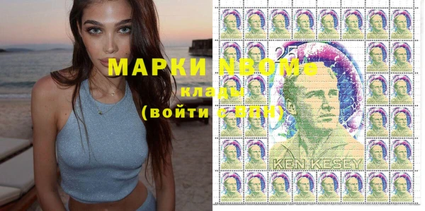 индика Кулебаки