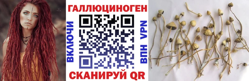 Галлюциногенные грибы мицелий  Мезень 